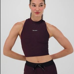 NWOT Bandit Striped Cadence Vaso Race Crop